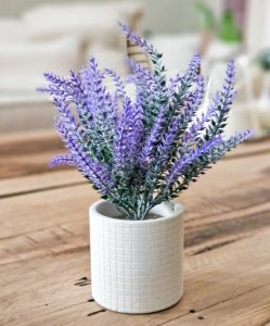 Lee más sobre el artículo Lavanda